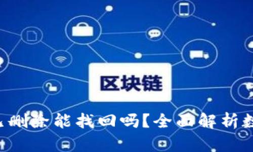  tpWallet已删除能找回吗？全面解析数据恢复方法