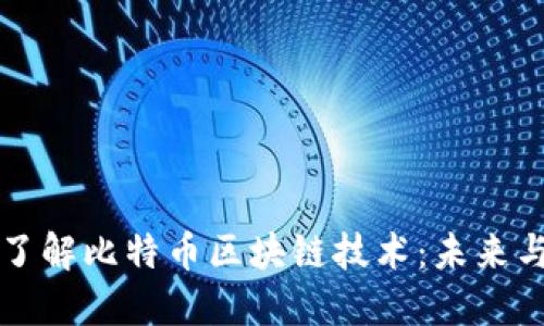 深入了解比特币区块链技术：未来与挑战