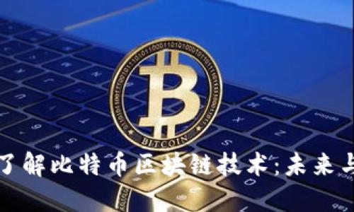 深入了解比特币区块链技术：未来与挑战