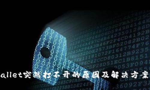 tpWallet突然打不开的原因及解决方案详解