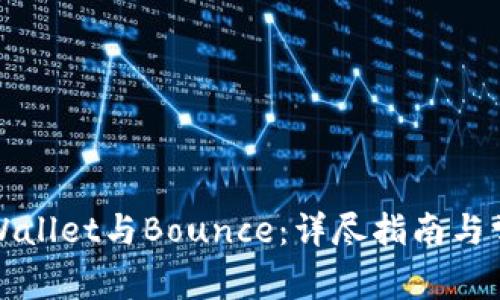 如何连接tpWallet与Bounce：详尽指南与常见问题解答