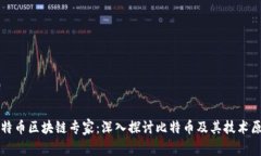 比特币区块链专家：深入探讨比特币及其技术原