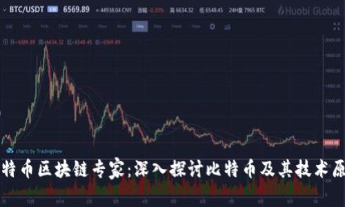 比特币区块链专家：深入探讨比特币及其技术原理
