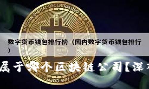: PI币的背后：它属于哪个区块链公司？深入探析及未来潜力