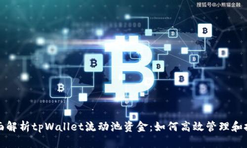 全面解析tpWallet流动池资金：如何高效管理和投资