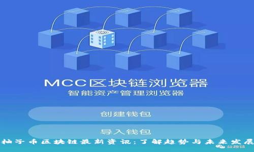 柚子币区块链最新资讯：了解趋势与未来发展