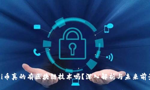 Pi币真的有区块链技术吗？深入解析与未来前景