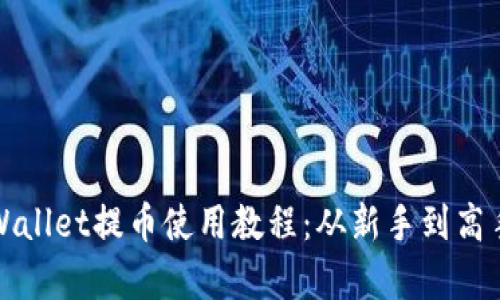 全面解析tpWallet提币使用教程：从新手到高手的详细指南