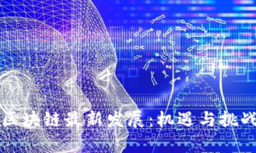 蒙古区块链最新发展：机遇与挑战分析