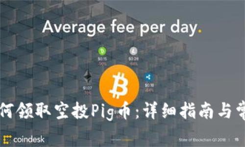 tpWallet如何领取空投Pig币：详细指南与常见问题解析
