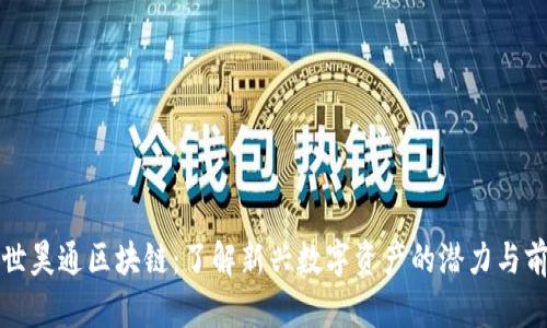 盛世昊通区块链：了解新兴数字资产的潜力与前景
