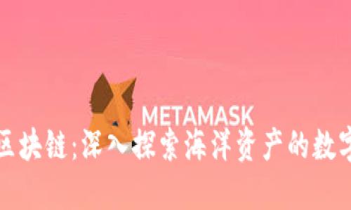 海洋币区块链：深入探索海洋资产的数字化未来