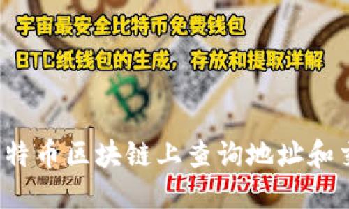 如何在比特币区块链上查询地址和交易记录？