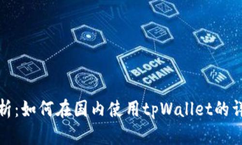 全面解析：如何在国内使用tpWallet的详细教程