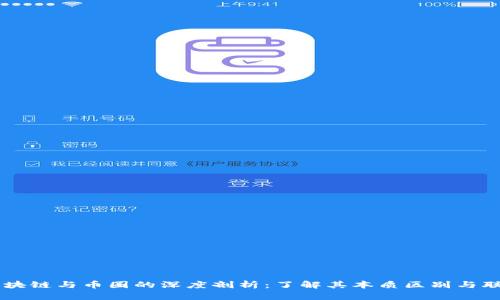 区块链与币圈的深度剖析：了解其本质区别与联系