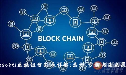 besokti区块链分叉币详解：类型、步骤与未来展望