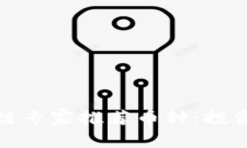最受欢迎的区块链专家推荐币种：投资指南与前景分析