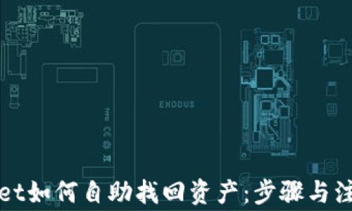 
tpWallet如何自助找回资产：步骤与注意事项