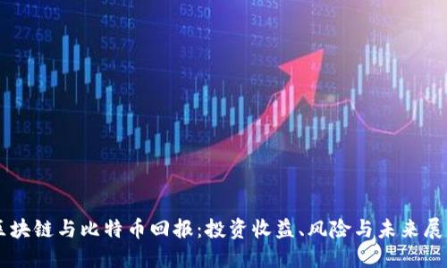 区块链与比特币回报：投资收益、风险与未来展望