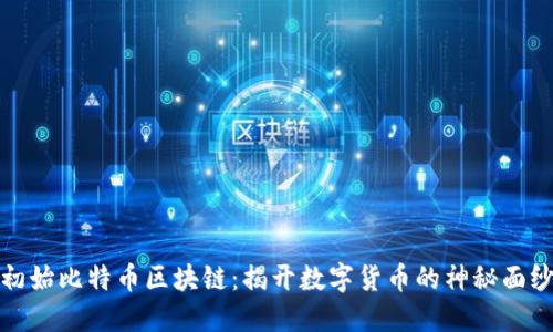 初始比特币区块链：揭开数字货币的神秘面纱
