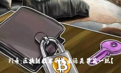 Pi币：区块链技术的未来还是昙花一现？