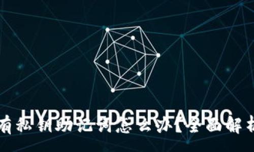 :
tpWallet没有私钥助记词怎么办？全面解析和解决方案