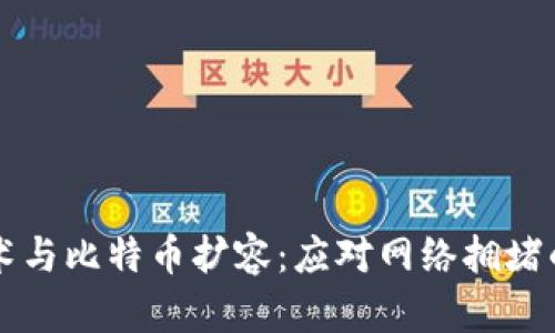 区块链技术与比特币扩容：应对网络拥堵的解决方案