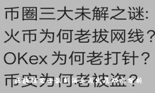 区块链芝士最新消息与发展动态分析