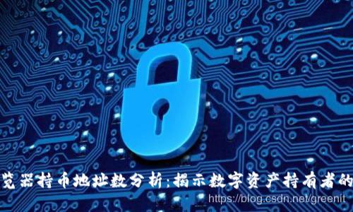 区块链浏览器持币地址数分析：揭示数字资产持有者的真实面貌
