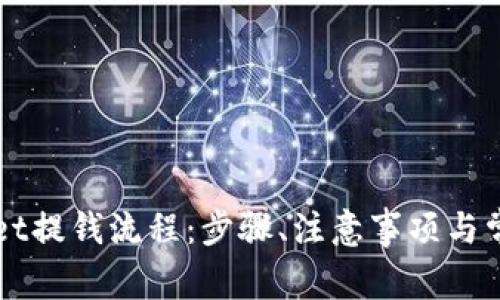 详解tpWallet提钱流程：步骤、注意事项与常见问题解答