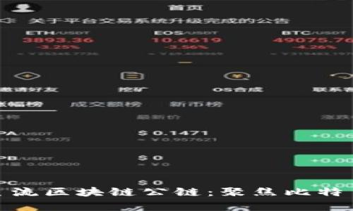 深入解析主流区块链公链：聚焦比特币及其影响