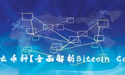 区块链BCH是什么币种？全面解析Bitcoin Cash的特点与应用