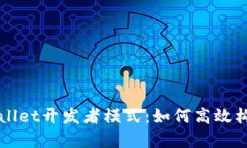 全面解析tpWallet开发者模式：如何高效构建区块链应用