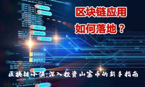 区块链小侠：深入投资山寨币的新手指南