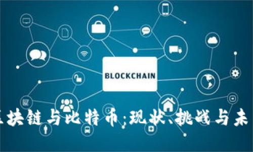 中国区块链与比特币：现状、挑战与未来趋势