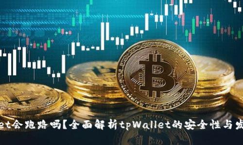 tpWallet会跑路吗？全面解析tpWallet的安全性与发展前景