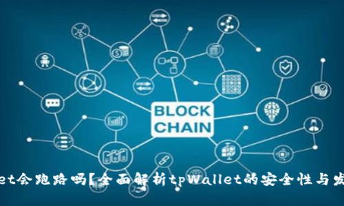 tpWallet会跑路吗？全面解析tpWallet的安全性与发展前景