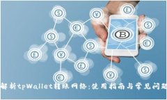 深度解析tpWallet转账网络：使用指南与常见问题解