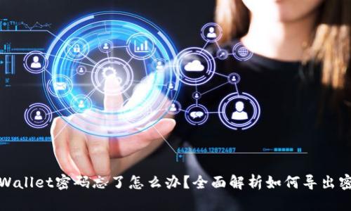 tpWallet密码忘了怎么办？全面解析如何导出密钥