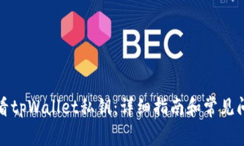 如何查看tpWallet私钥：详细指南和常见问题解答