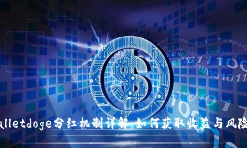 tpWalletdoge分红机制详解：如何获取收益与风险分析