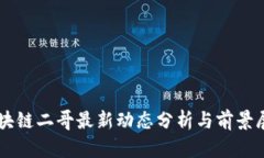 区块链二哥最新动态分析