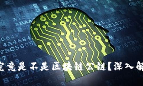 : EOS币（柚子）究竟是不是区块链公链？深入解析其特性与应用