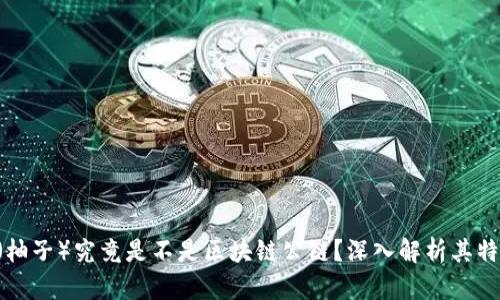 : EOS币（柚子）究竟是不是区块链公链？深入解析其特性与应用