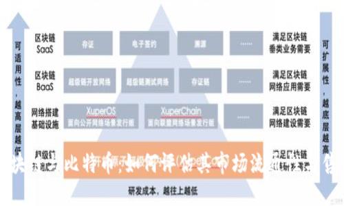 区块链与比特币：如何评估其市场流通性与售价