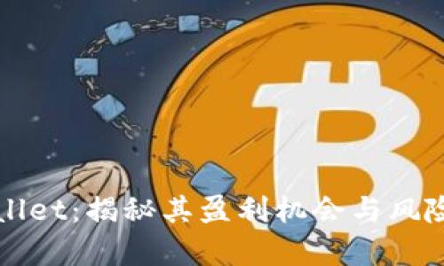 tpWallet：揭秘其盈利机会与风险分析