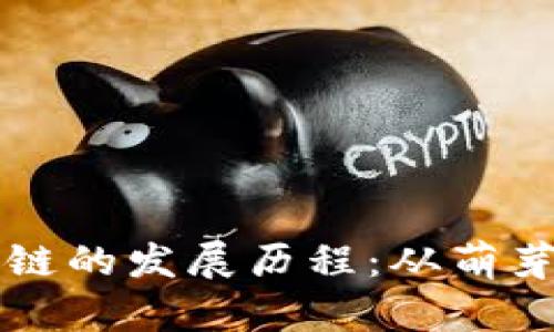 中国比特币和区块链的发展历程：从萌芽到崛起的全景分析
