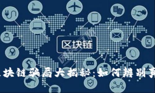 2023年最新区块链骗局大揭秘：如何辨别真伪及防范技巧