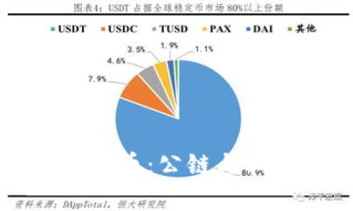 文章 : 深入了解SCC币：公链与私链的选择及其影响