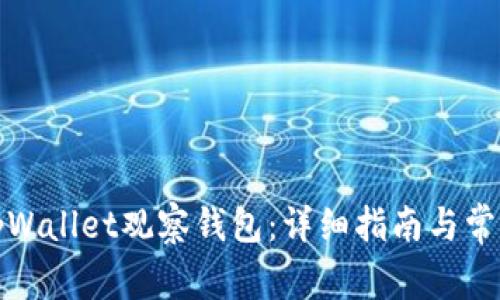 如何使用tpWallet观察钱包：详细指南与常见问题解答